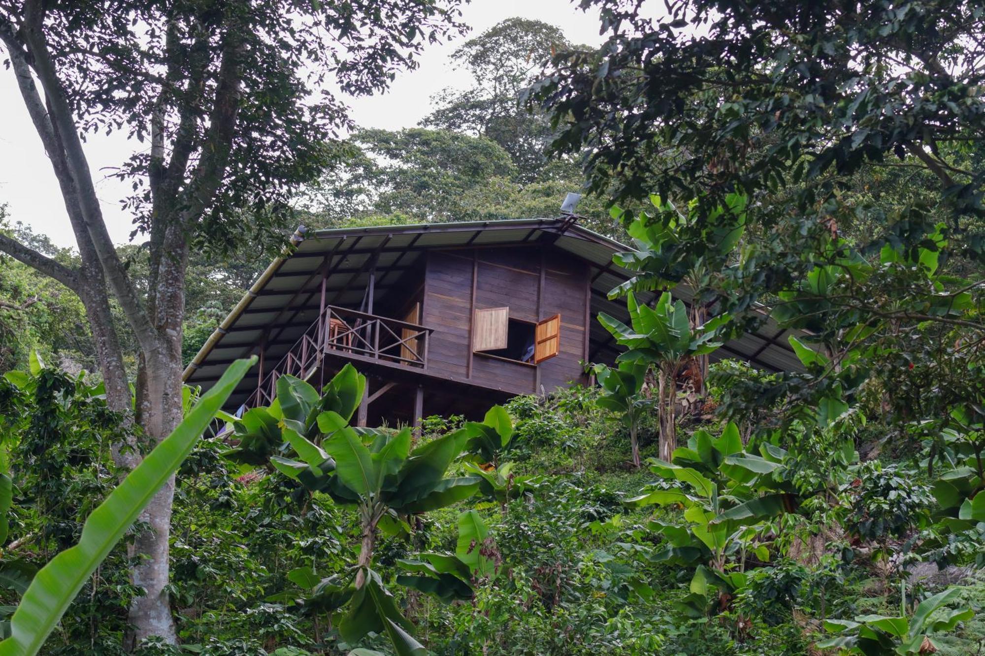 Mano Verde Minca Exterior photo